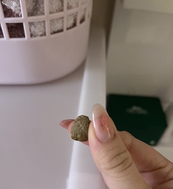 いしっころ