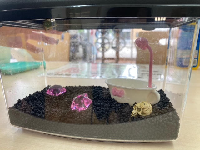 新しい仲間