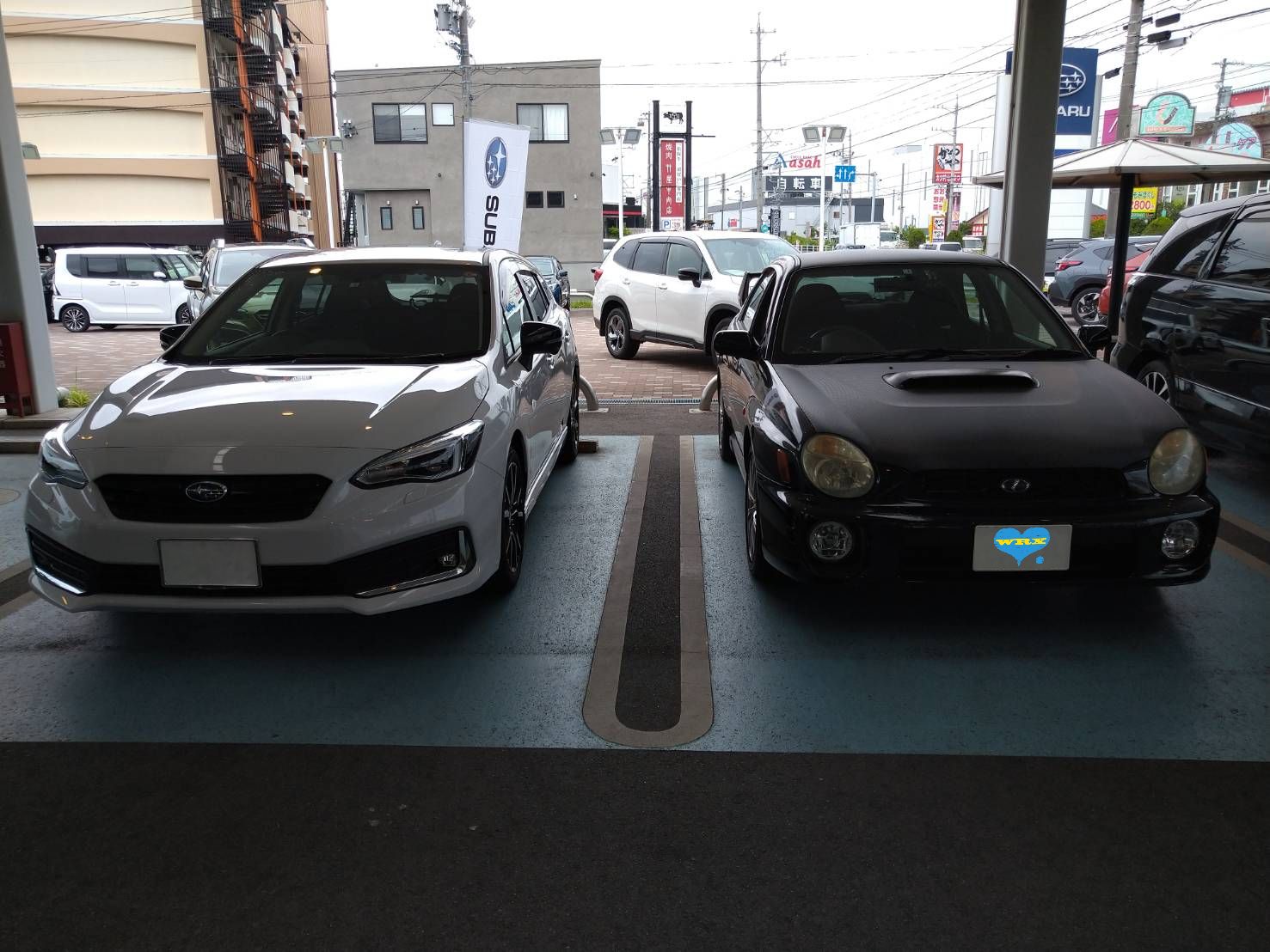 夏に備えて。