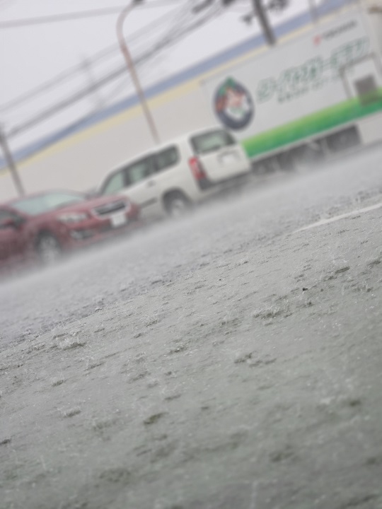 雨