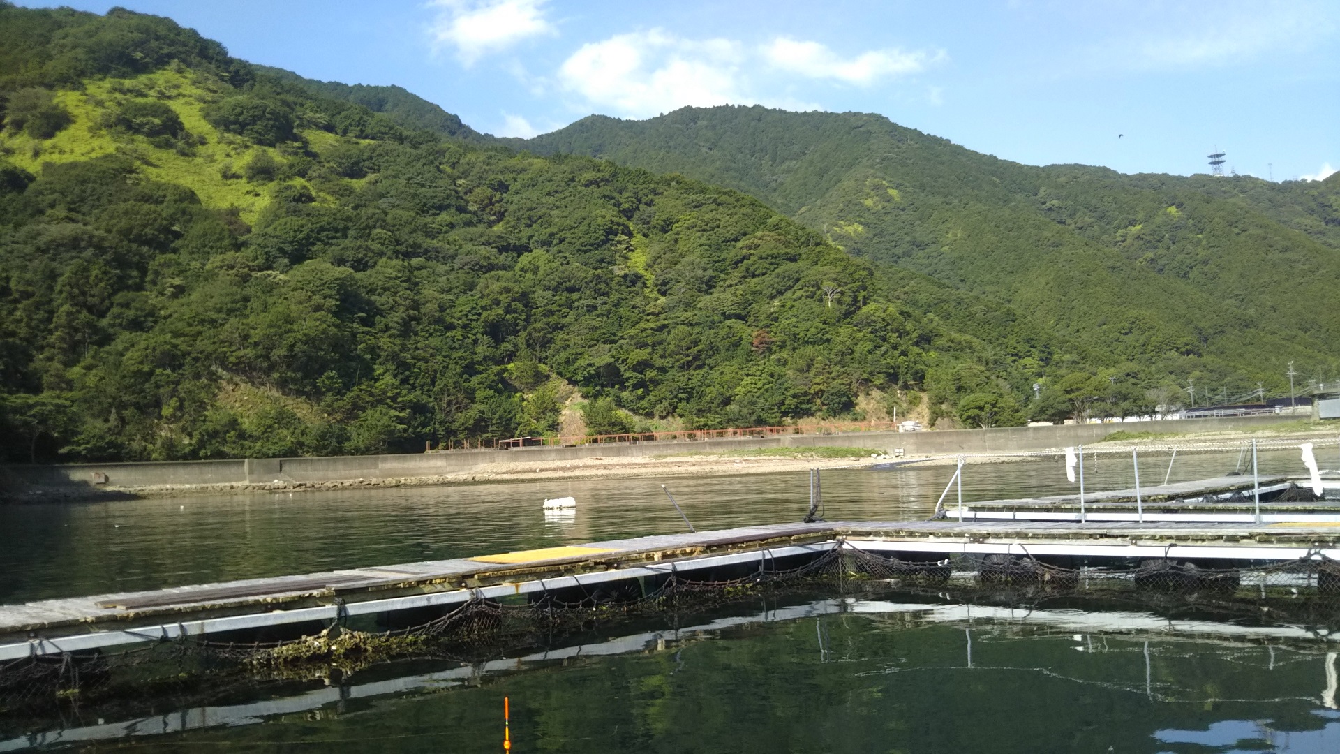 釣り