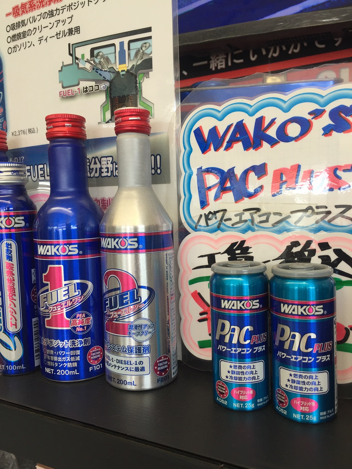 夏と言えばPAC(^^♪