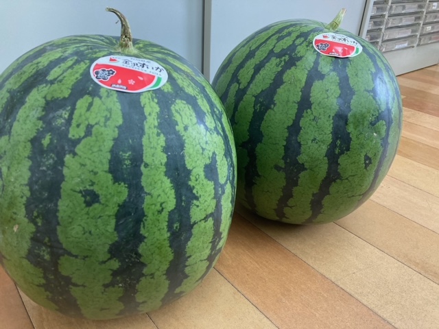 金沢すいか
