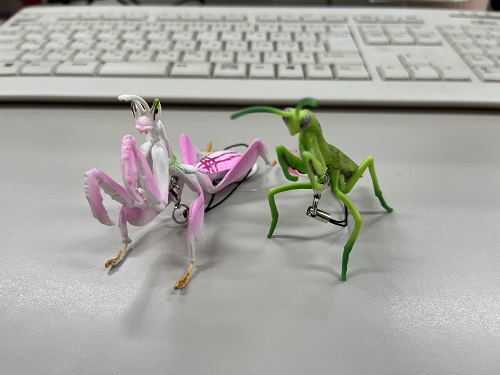 カマキリ