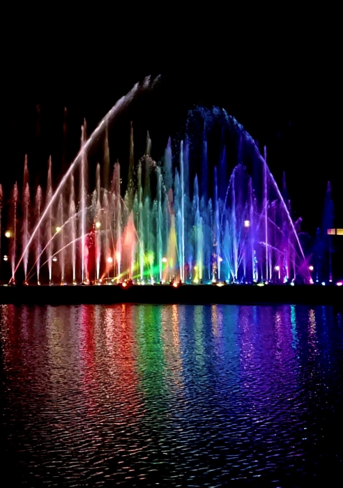 花火と環水公園