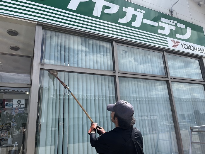 くものす