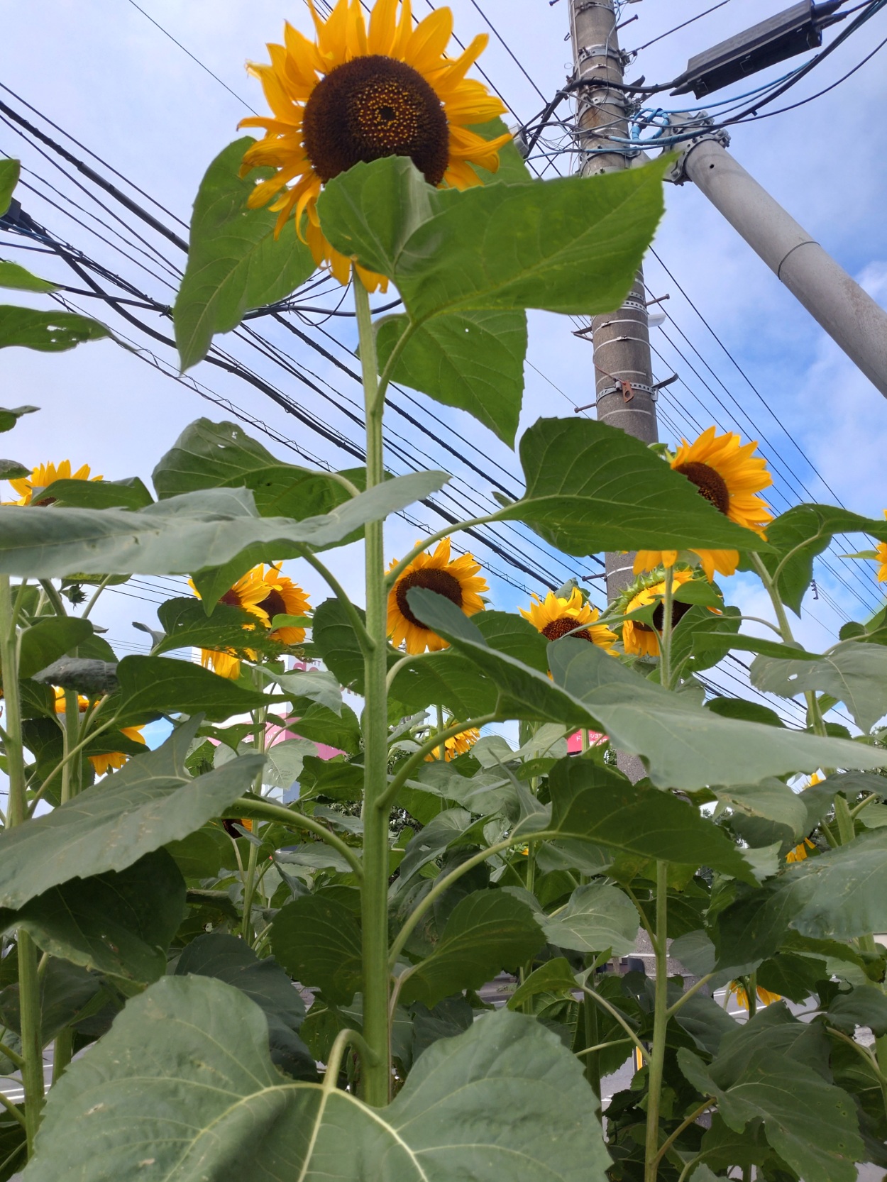 ９月最初の週末･･･