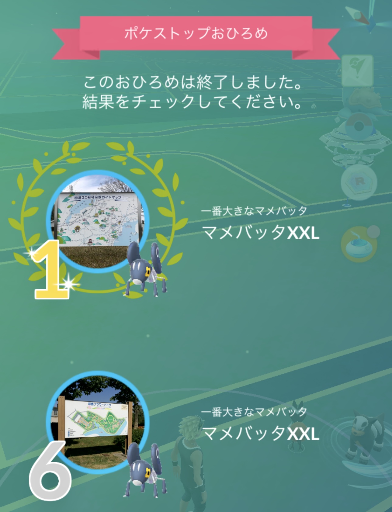 スタッフT2のポケ活Vol.11