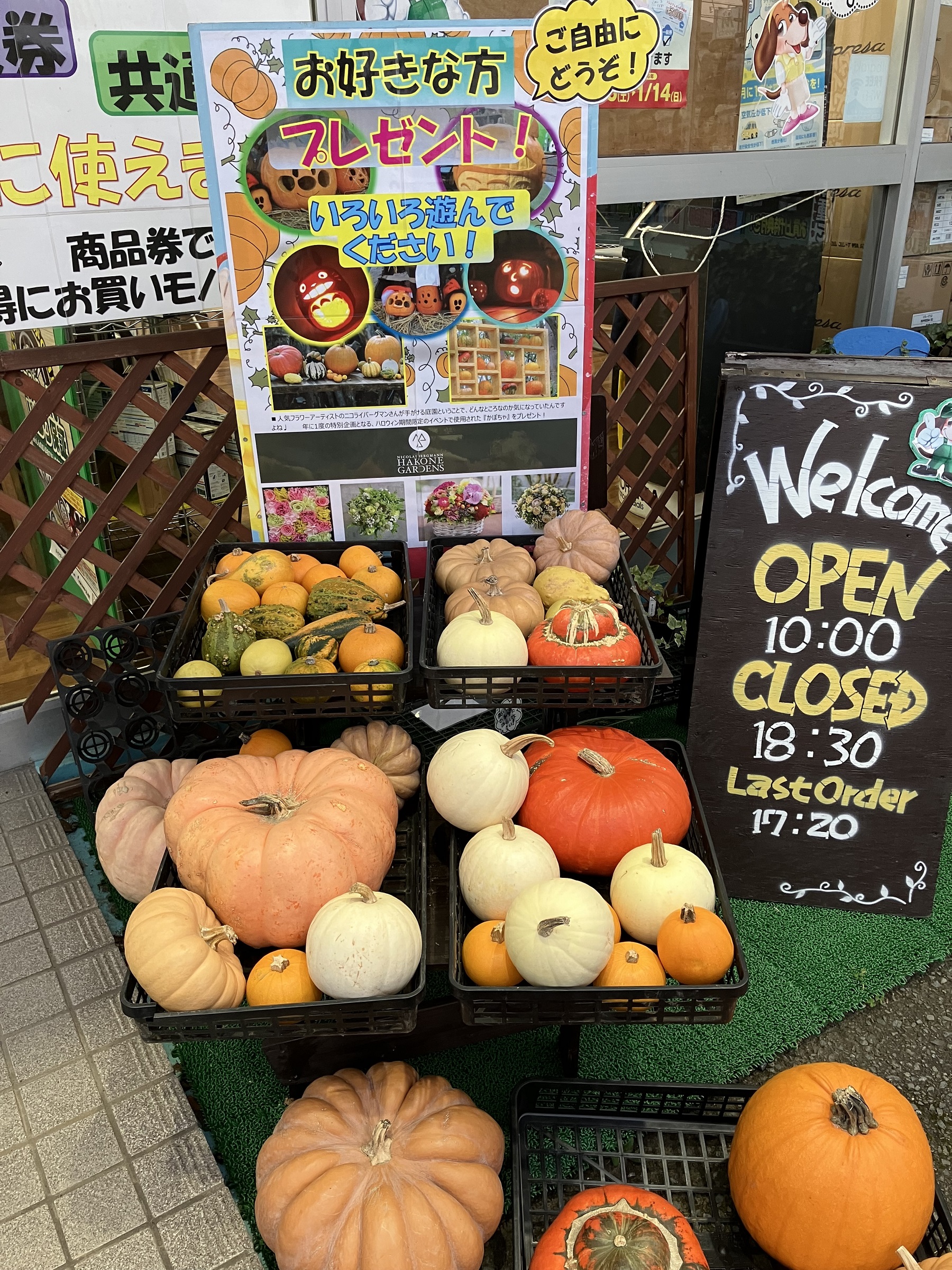只今、プレゼント中