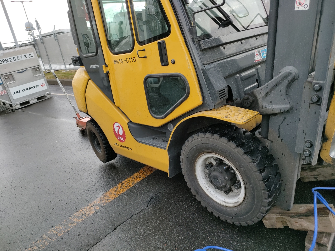 恒例の