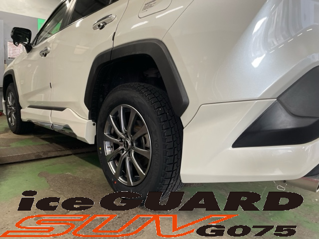 RAV４&times;G075&times;ユーロスピードG10