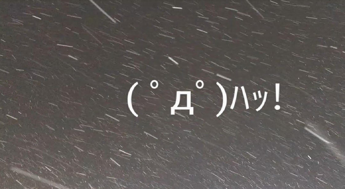 初雪( ﾟДﾟ)