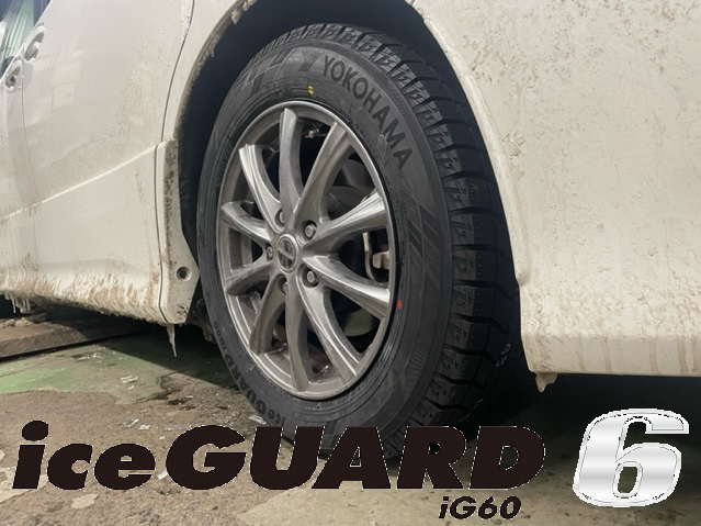 VOXY&times;iceGUARD6