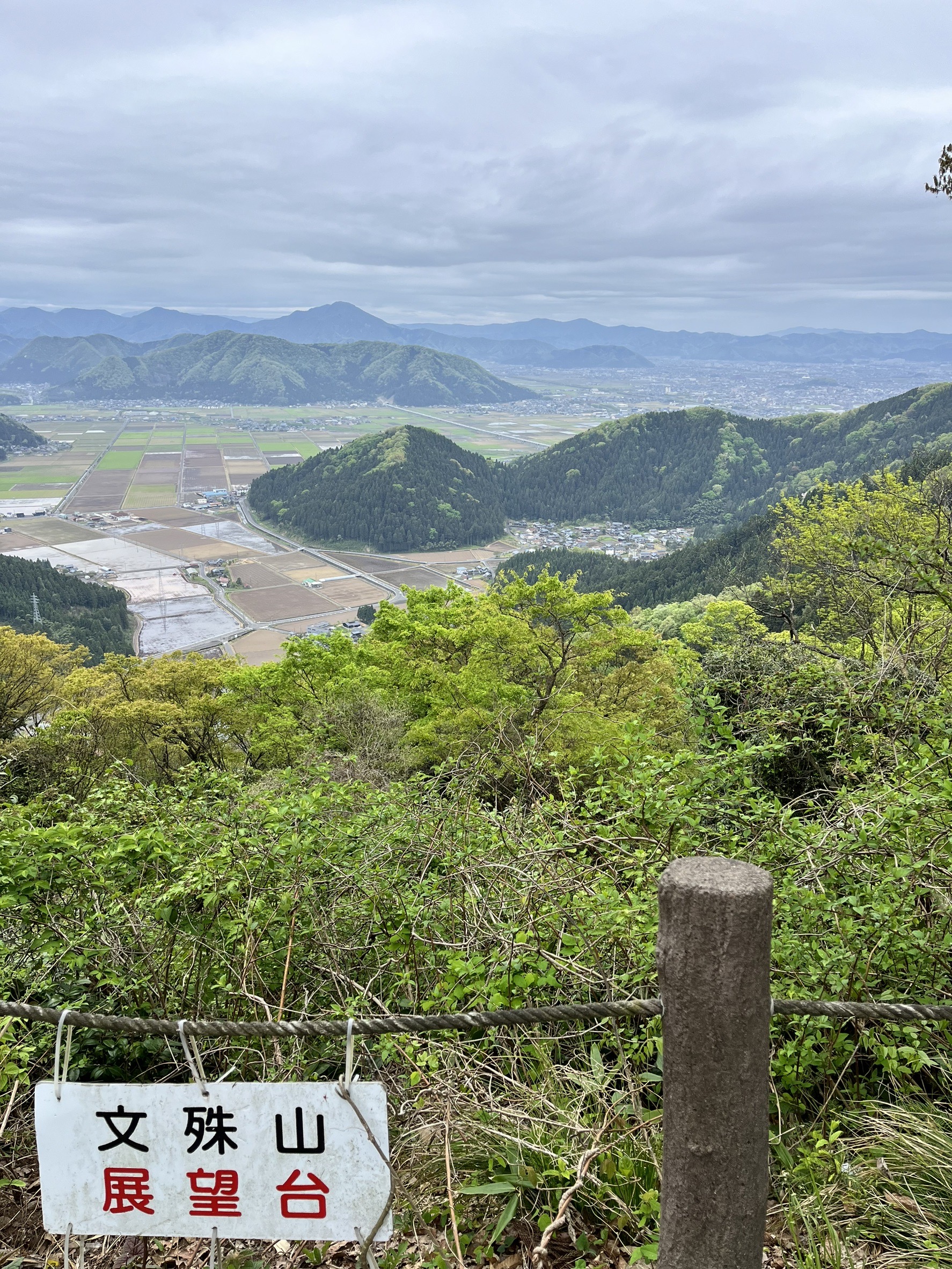 山を走る。