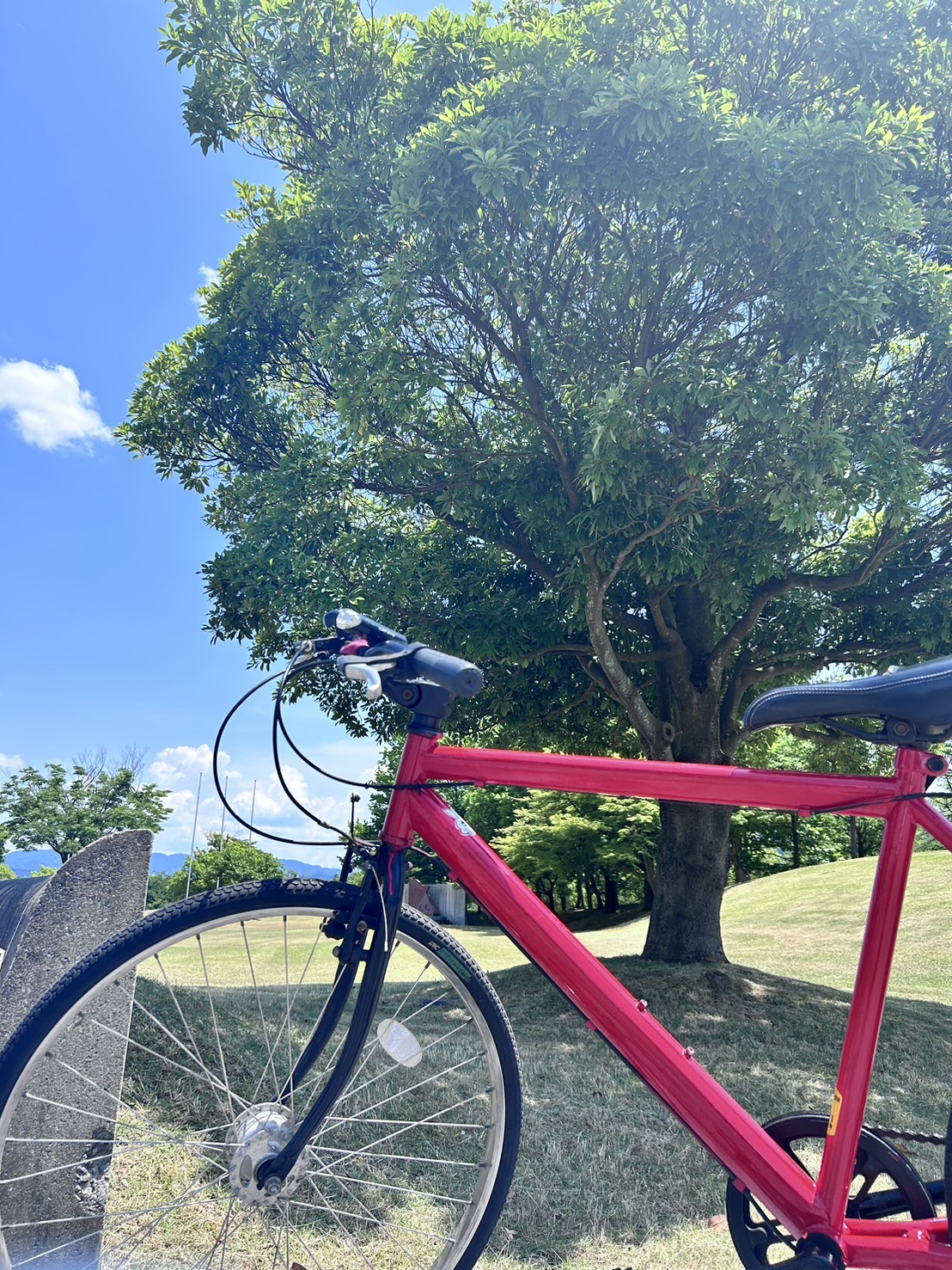 自転車