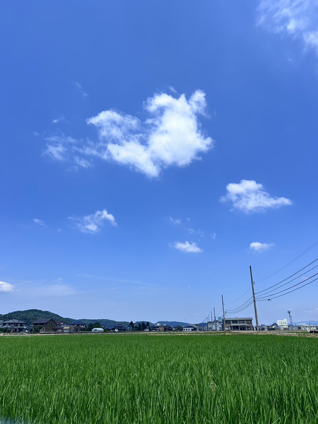 こんにちは！