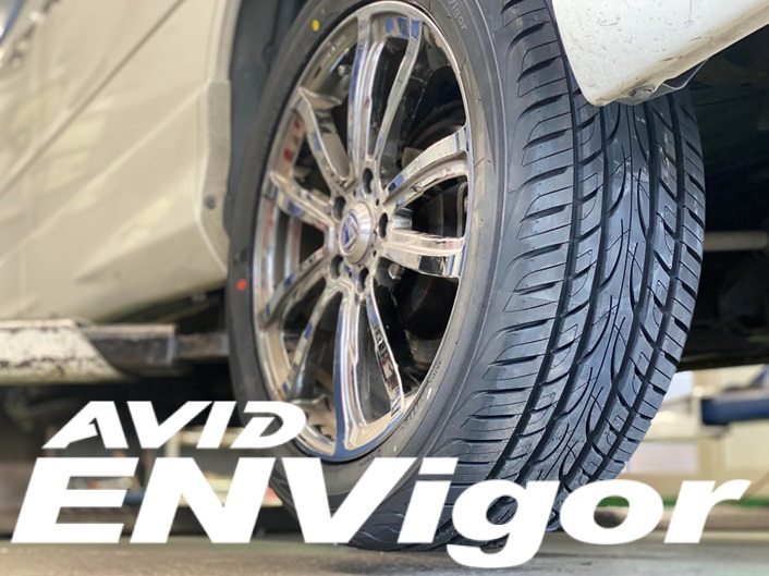 AVID ENVigor S321