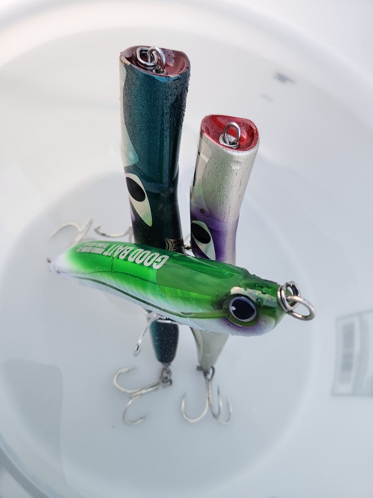 マグロキャスティング⑤