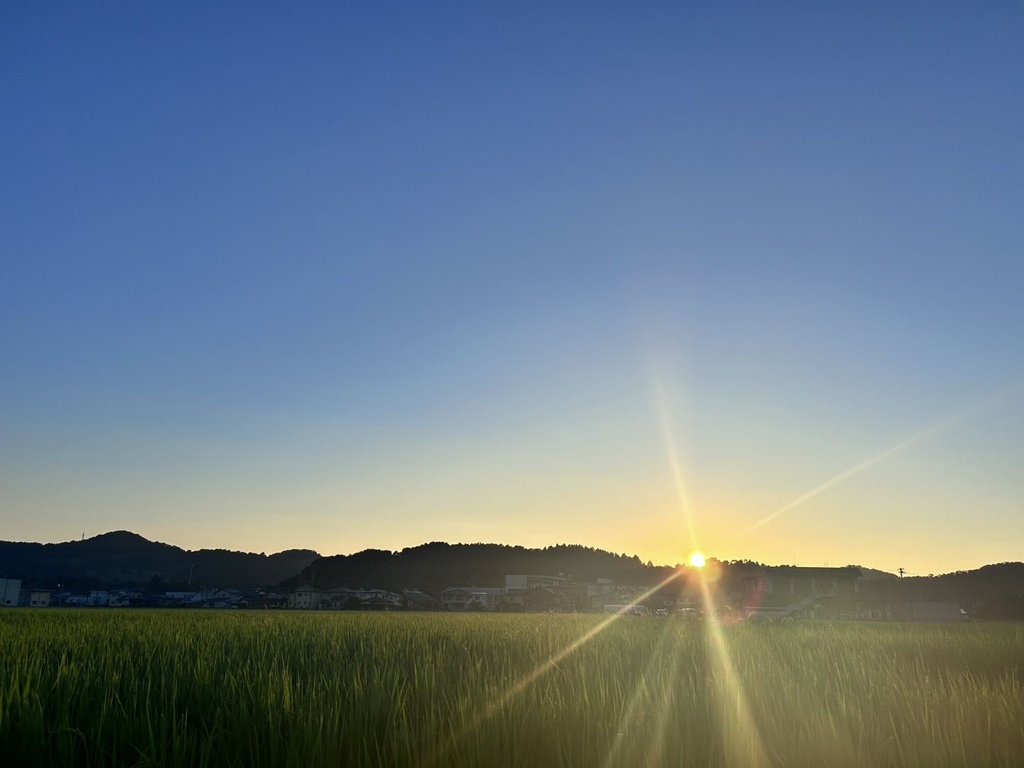 暑いけど、、☀