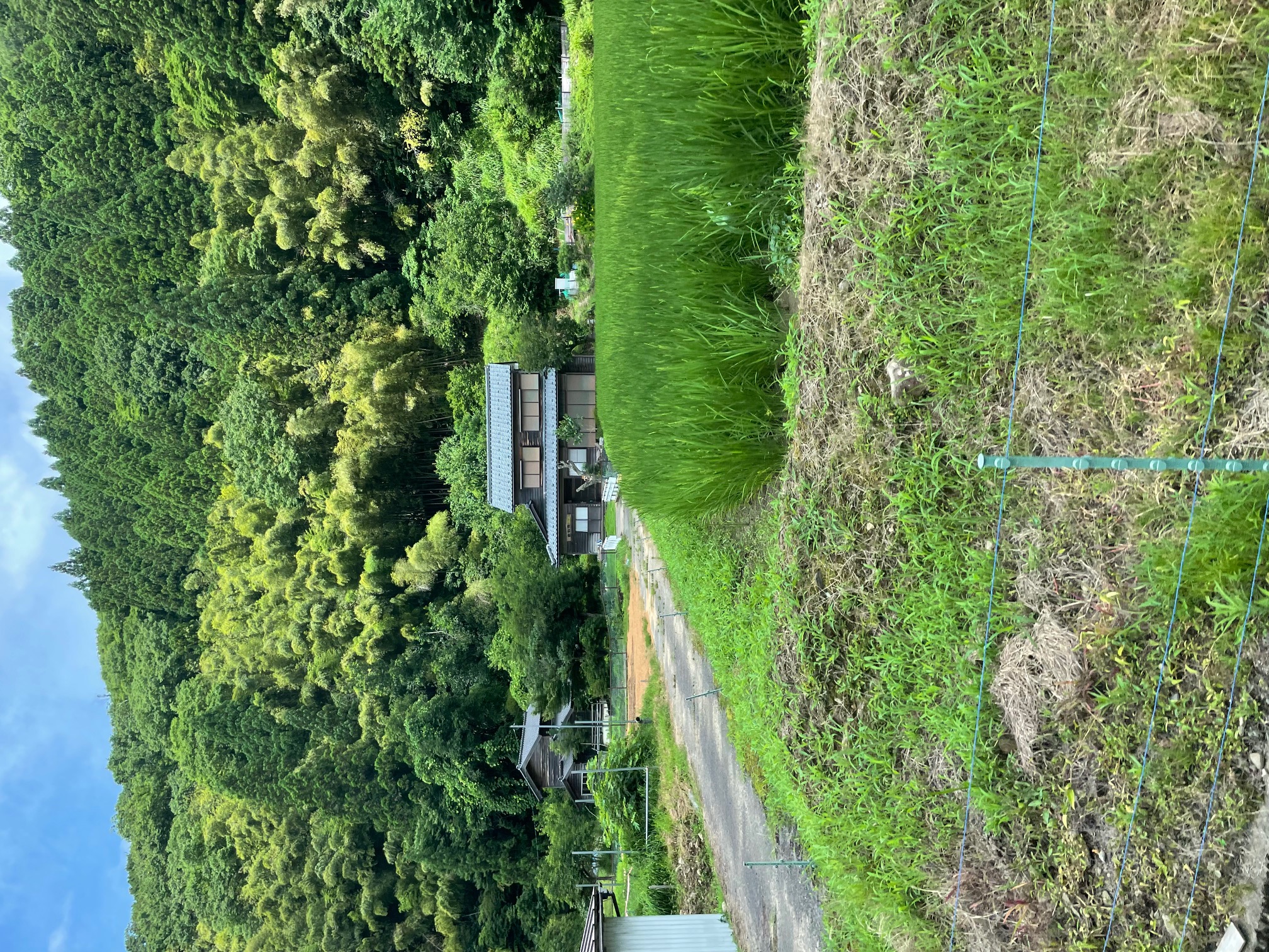 暑くても動きます！
