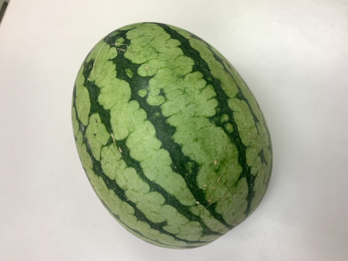お盆休みいかがでしたか？