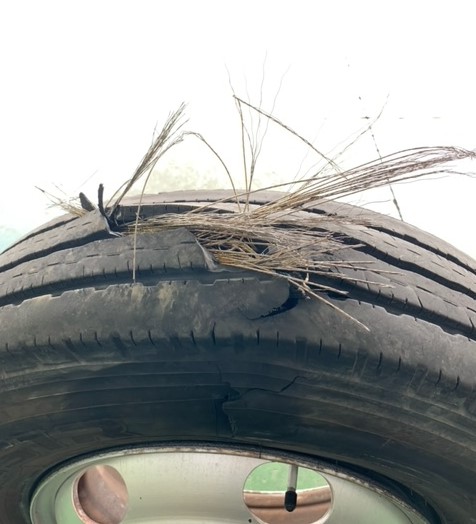 乗車前には点検を！