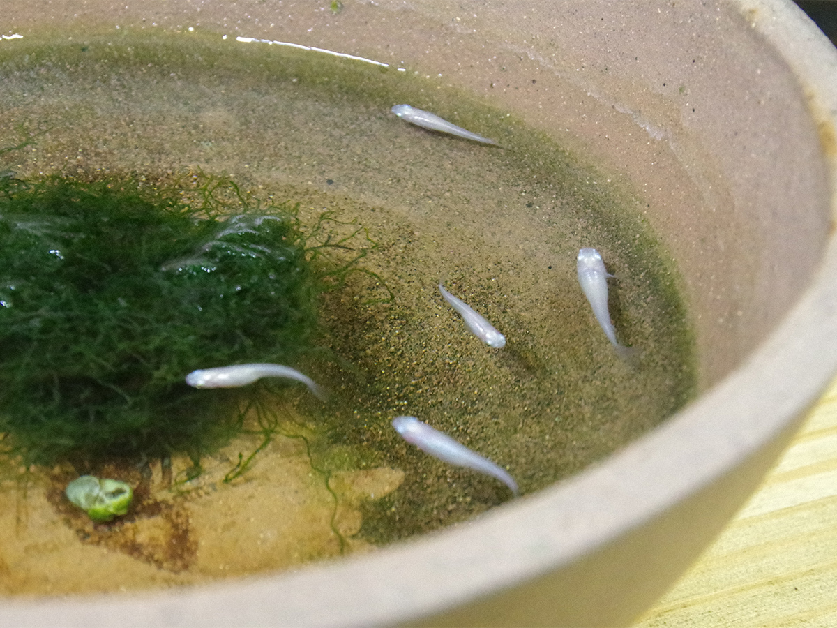 お店にいます
