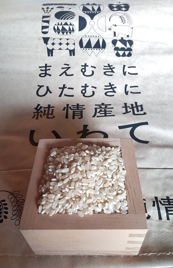 急に秋がやって来た