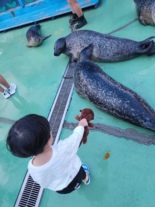 伊勢シーパラダイスに行ってきました！！
