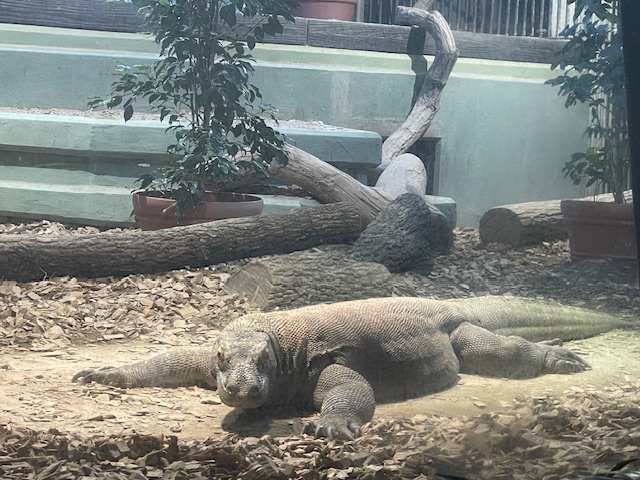東山動物園！！！