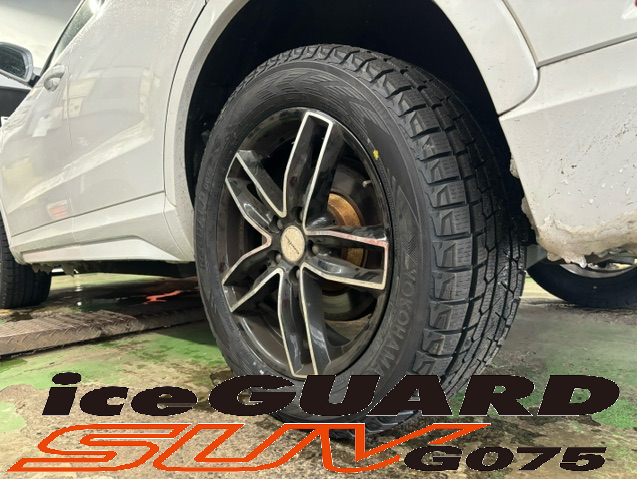 Q3&times;iceGUARD SUV