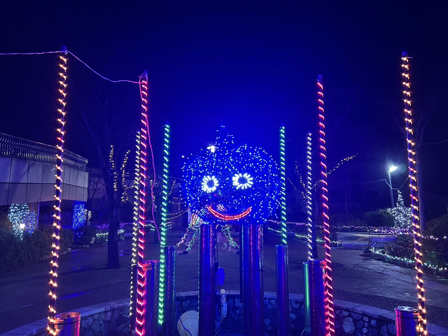 お久しぶりです