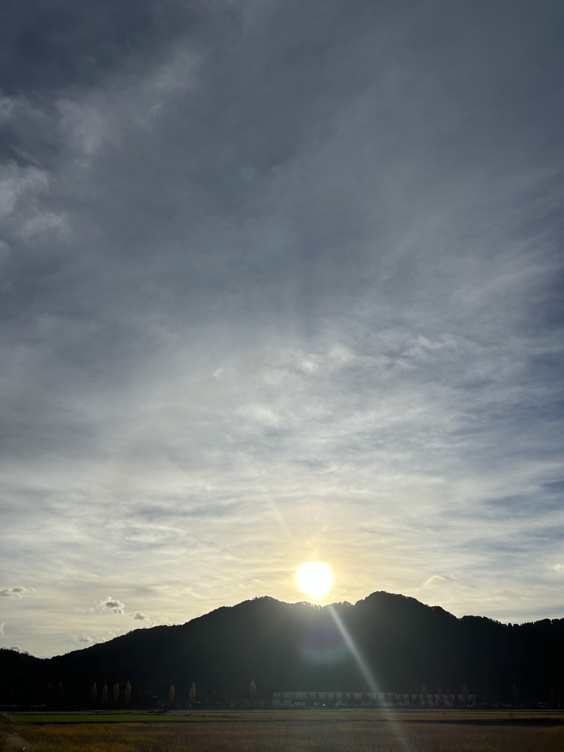 2024年、ありがとうござました
