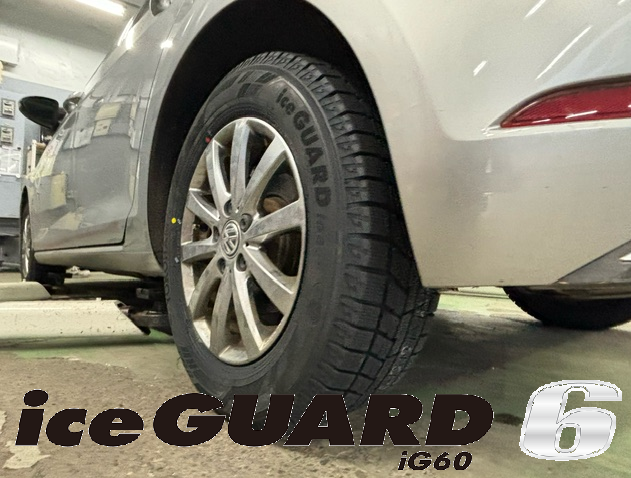 ゴルフ&times;iceGUARD6