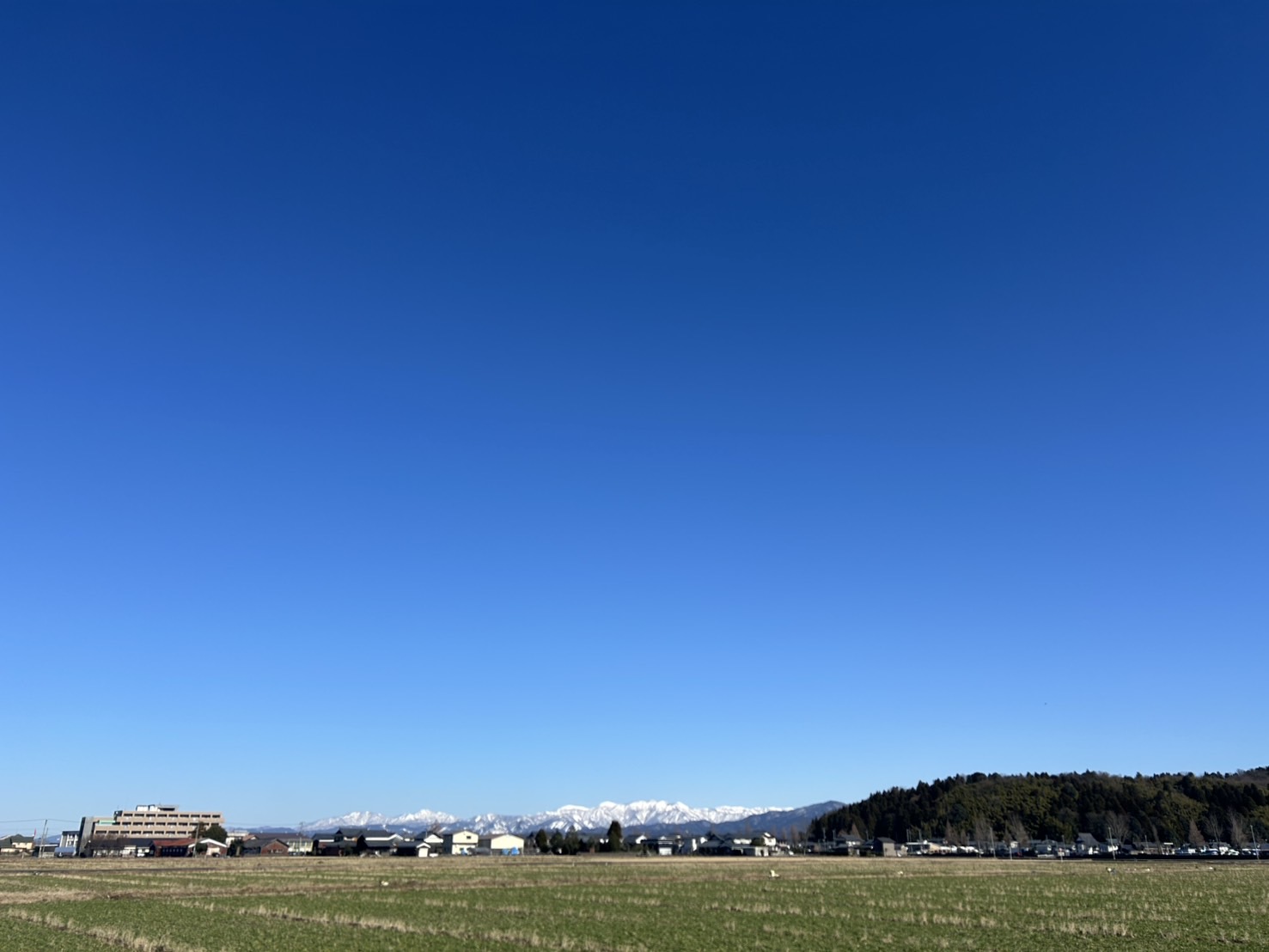 こんなお天気の良い日は･･･