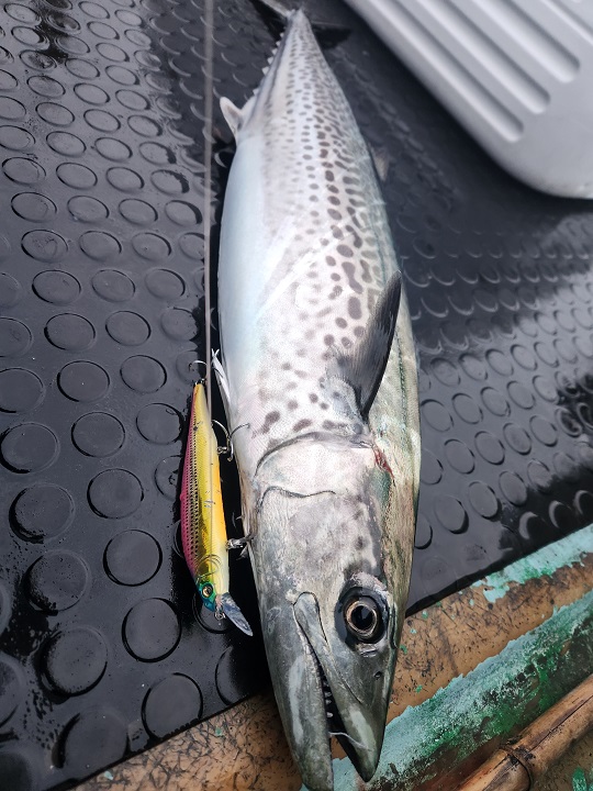 Fishing　diary  2025  ②