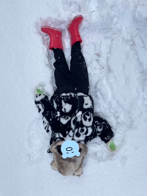 鈴鹿は結構雪積もりました！