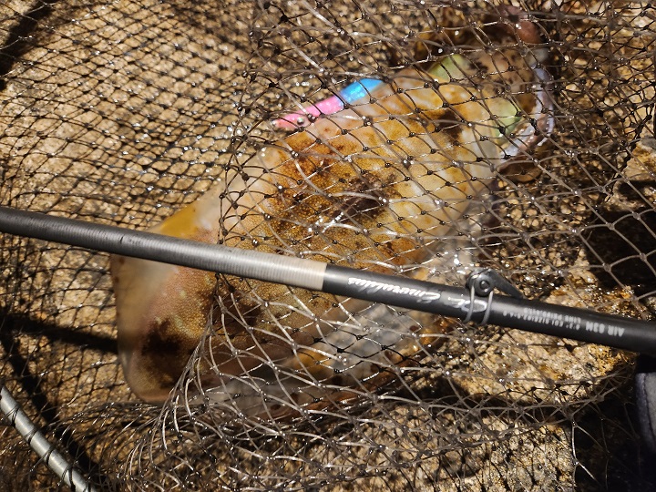 Fishing　diary  2025  ⑥