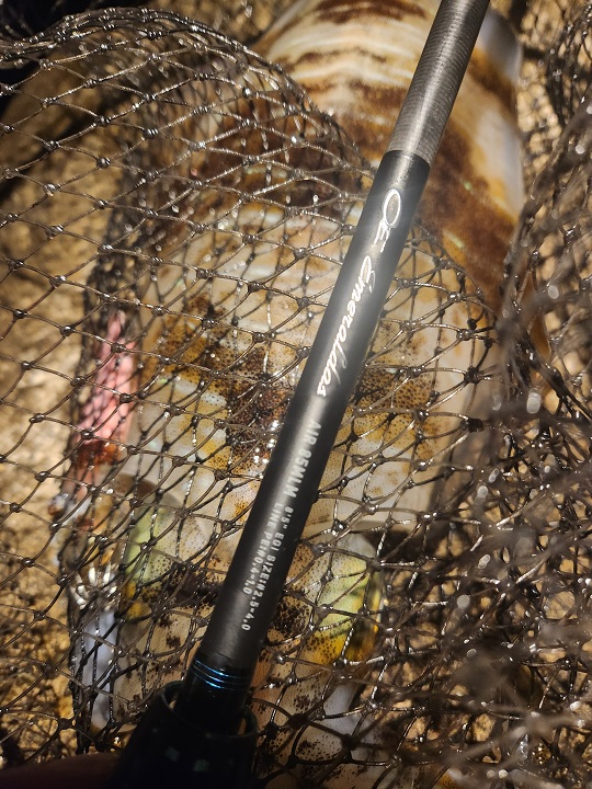 Fishing　diary  2025  ⑪