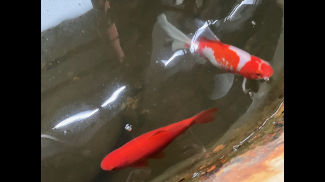 納品してきました