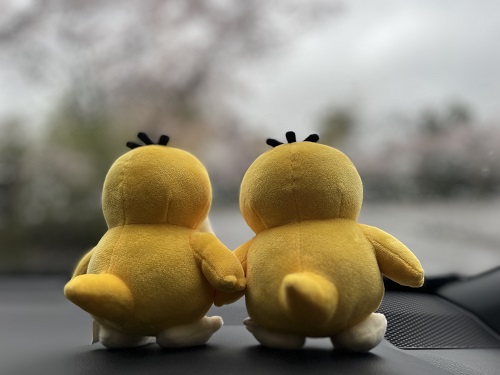 おはなみ②