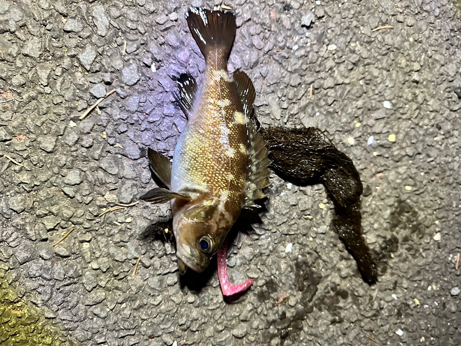 !?