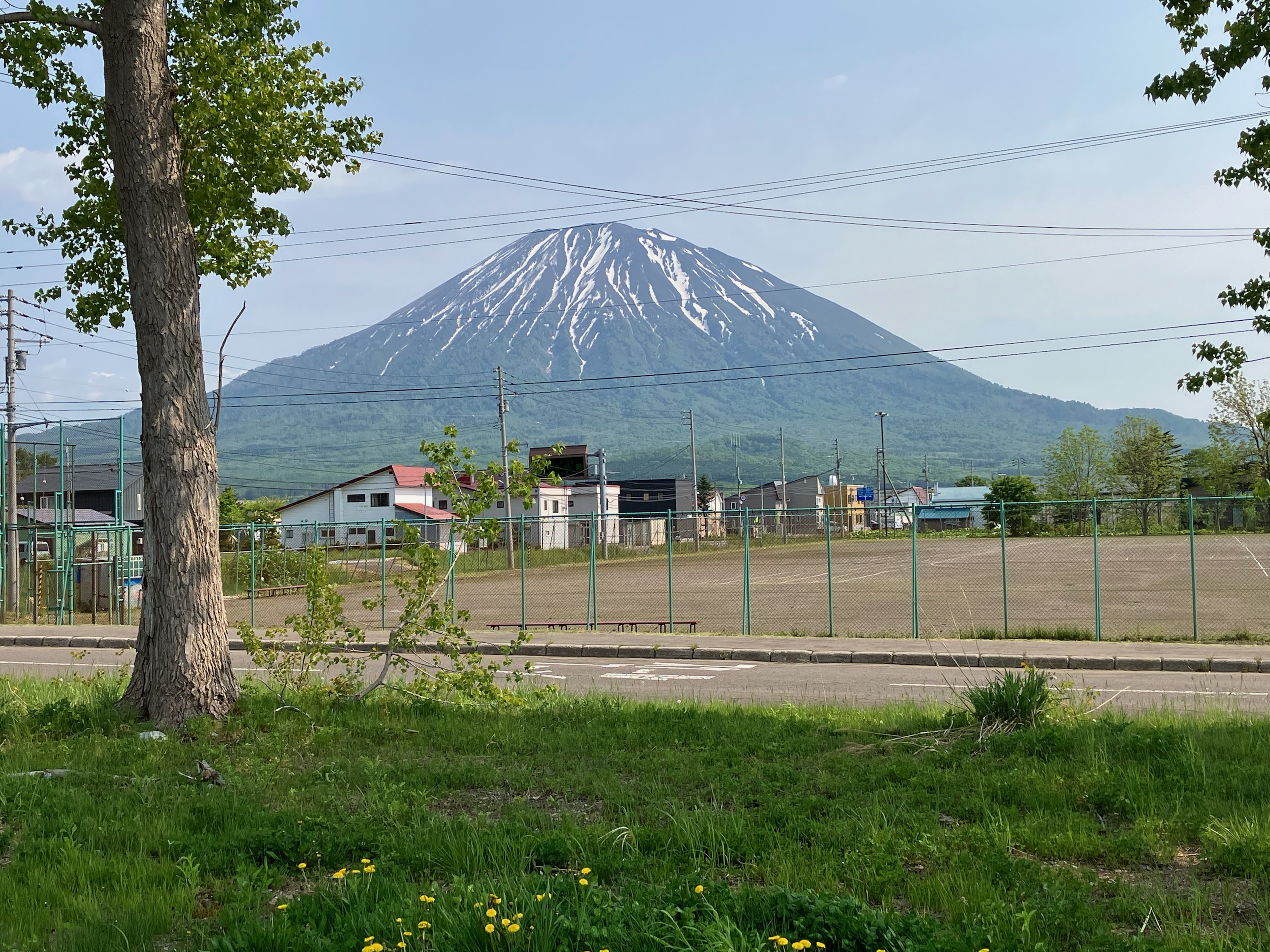 見慣れてきた