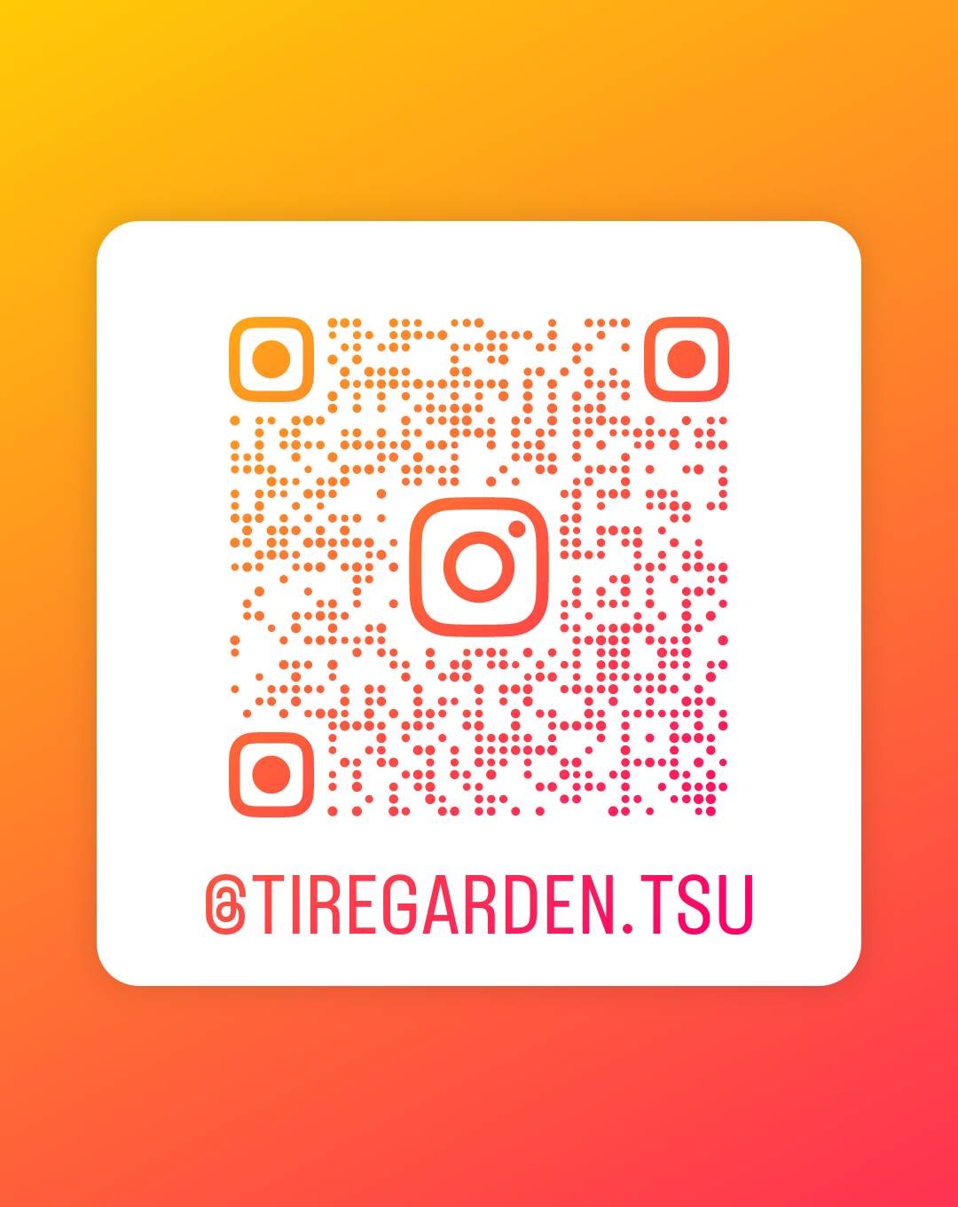 Instagram復活！！