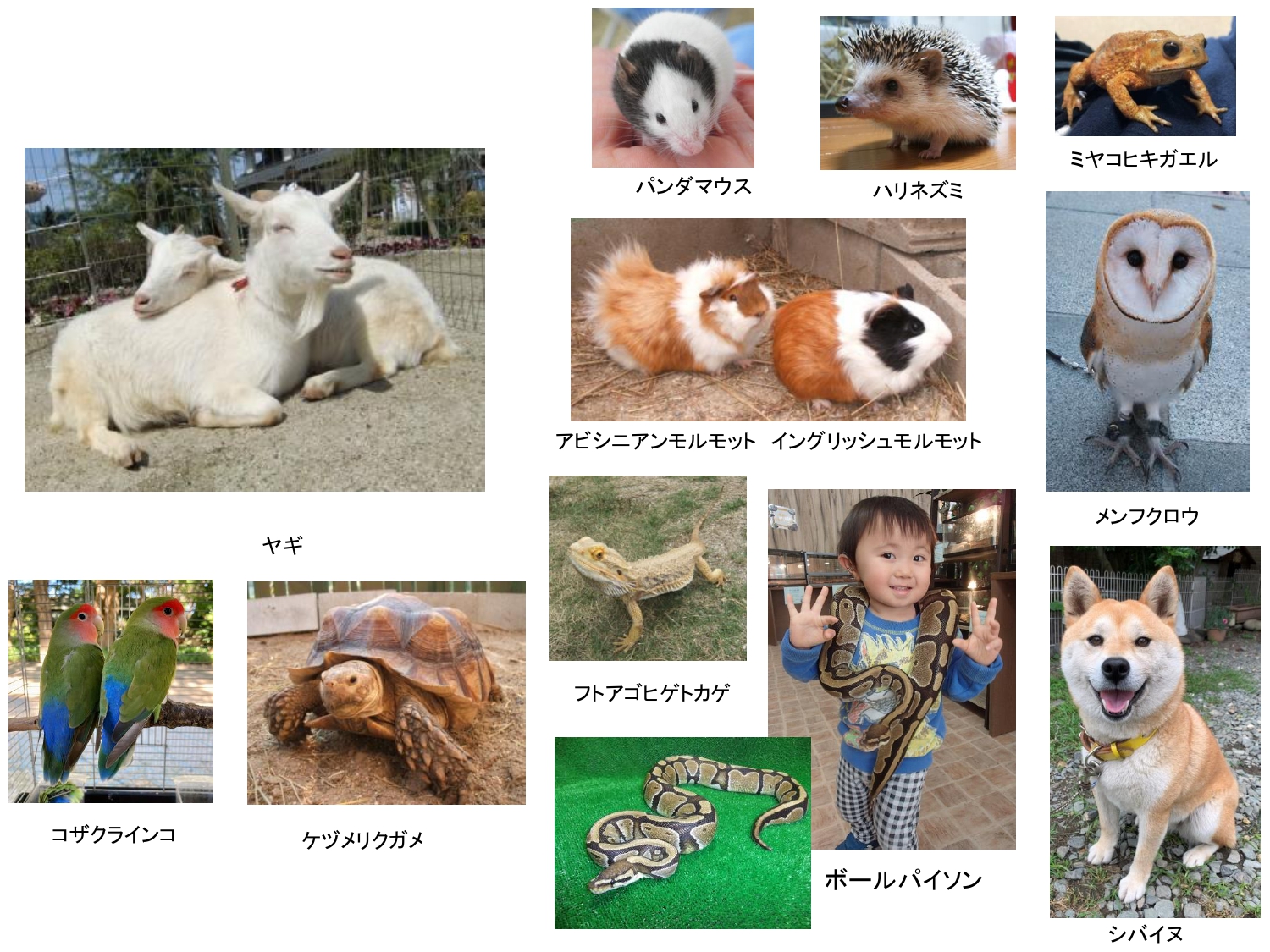 なつまつり詳細　part.2