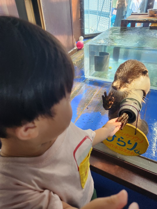 更新！！