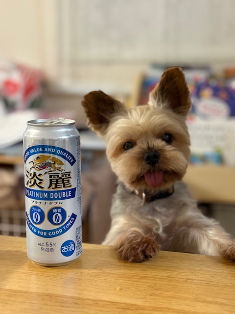 猛暑！！！