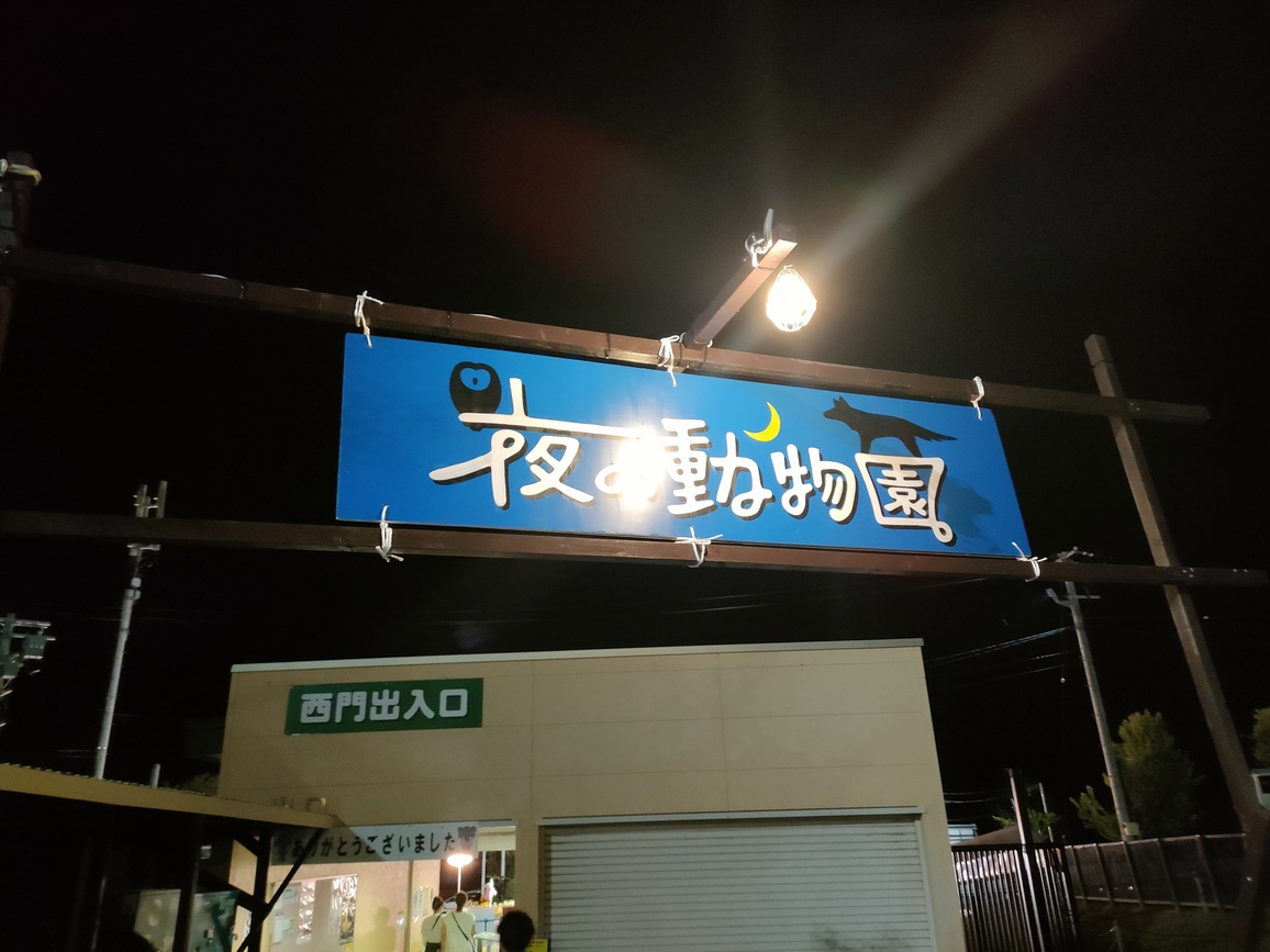 夜の