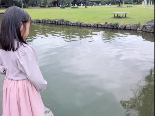 あれ