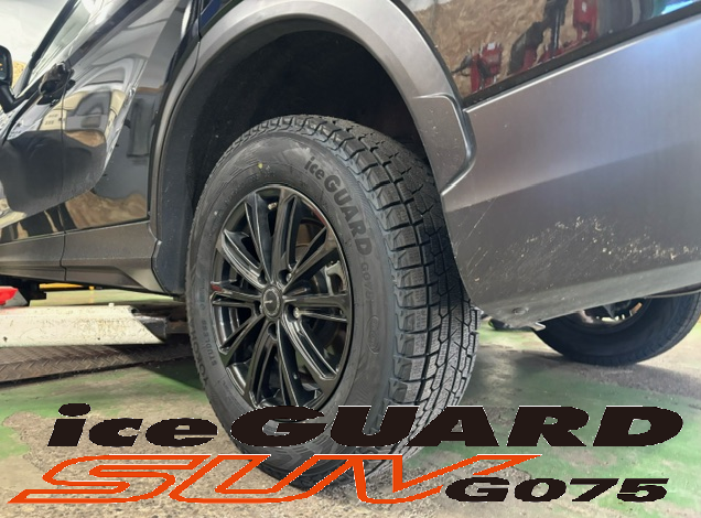 イクリプスクロス&times;iceGUARD SUV